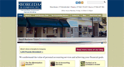 Desktop Screenshot of borgidacpas.com